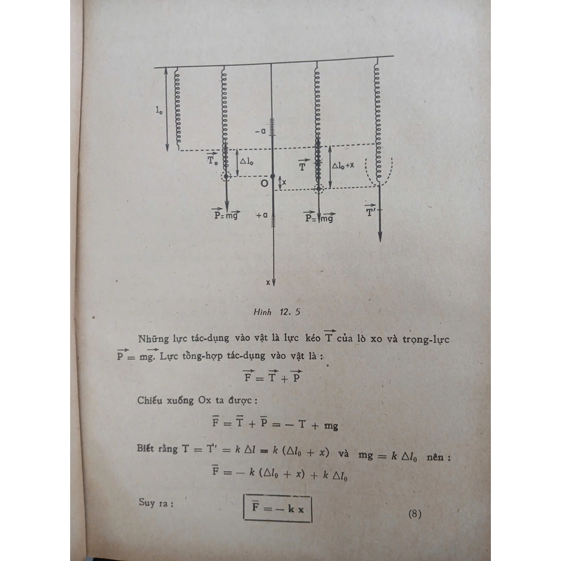 VẬT LÝ HỌC LỚP 12 A, B 546701