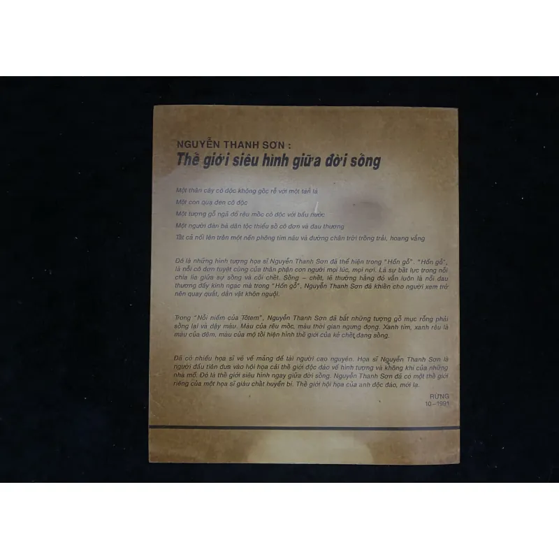 Triển lãm tranh cá nhân của họa sĩ Nguyễn Thanh Sơn 1023840