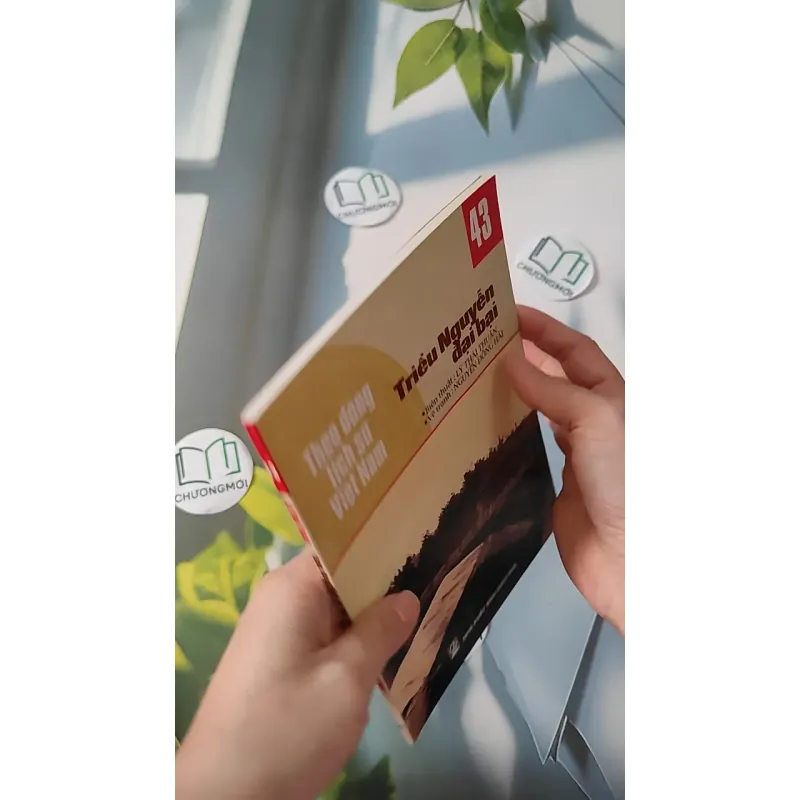 Theo Dòng Lịch Sử Việt Nam - Triều Nguyễn Đại Bại 43 - Lý Thái Thuận 970239