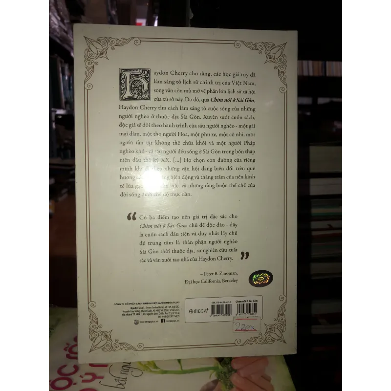 Chìm nổi ở Sài Gòn - Haydon Cherry 747184