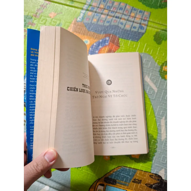 Chiến Lược Đại Dương Xanh 763112