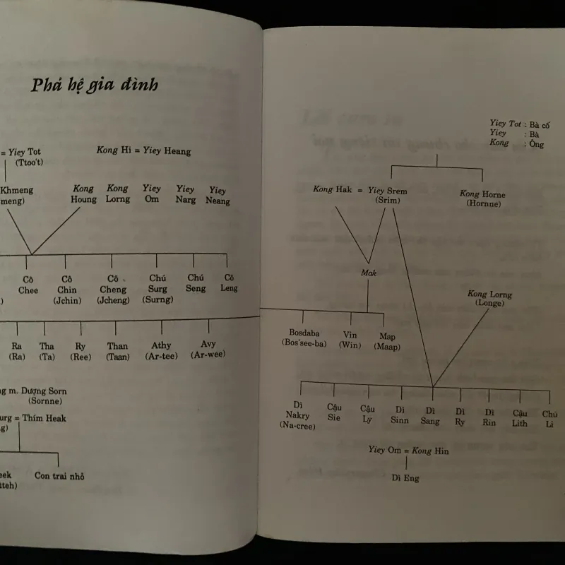 Hành trình qua cánh đồng chết- Năm xb: 2005  (dịp Tết Ất Dậu) 1003385
