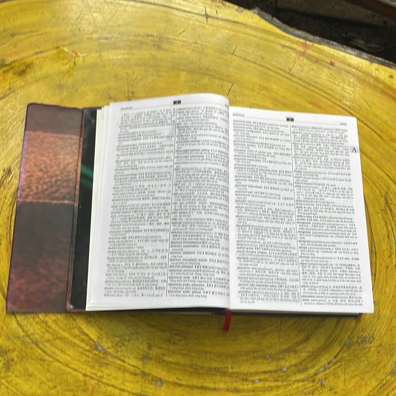 TỪ ĐIỂN ANH - TRUNG - VIỆT - HIỆN ĐẠI VÀ THỰC HÀNH (HAI TẬP) - GS. CAO LĂNG CHỦ BIÊN 603295