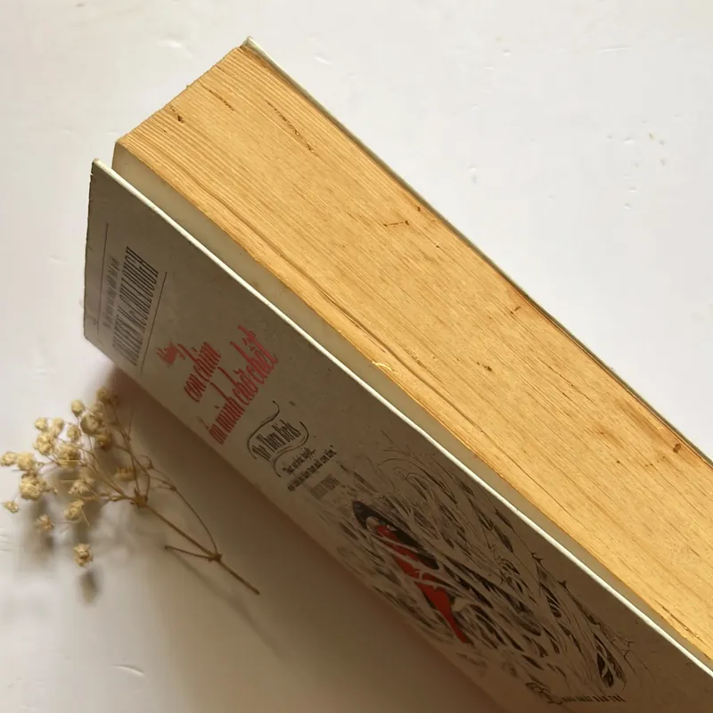 Bán sách cũ – Những con chim ẩn mình chờ chết – Colleen McCullough 564642