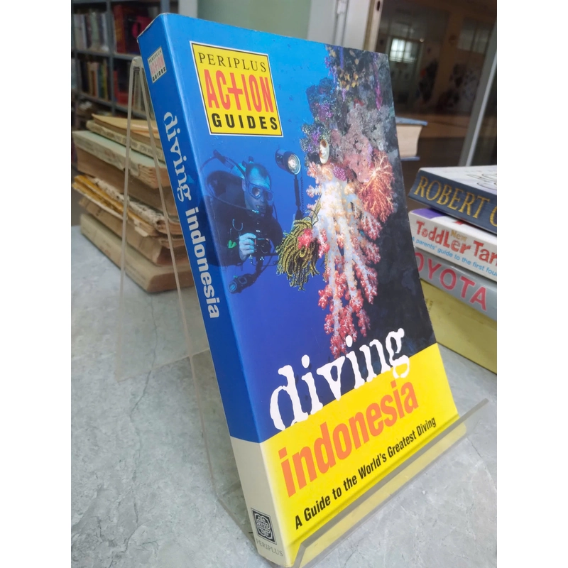 diving indonesia 498938