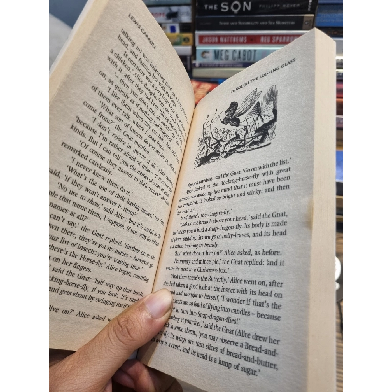 THROUGH THE LOOKING GLASS - Lewis Carroll  (Collins Classics) 146178