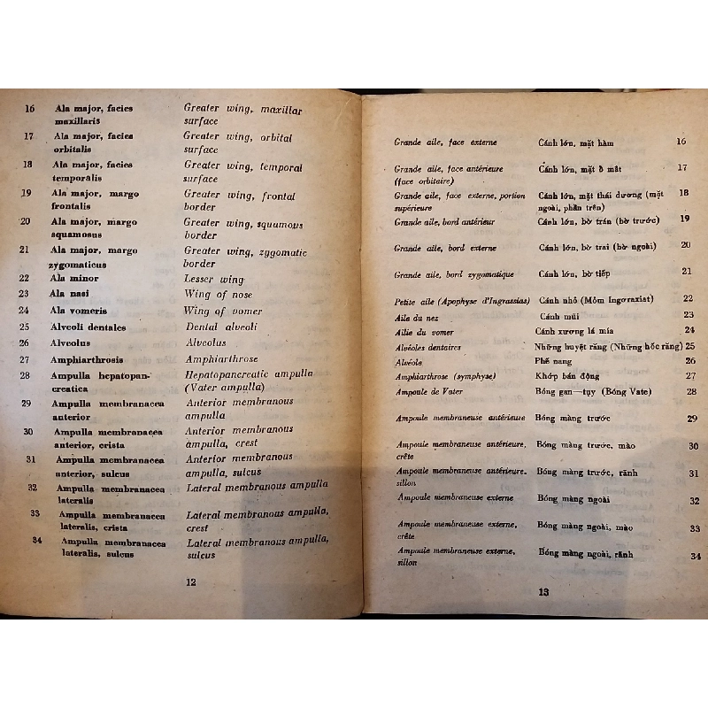 Từ điển giải phẫu học - Nguyễn Quang Quyền 601485