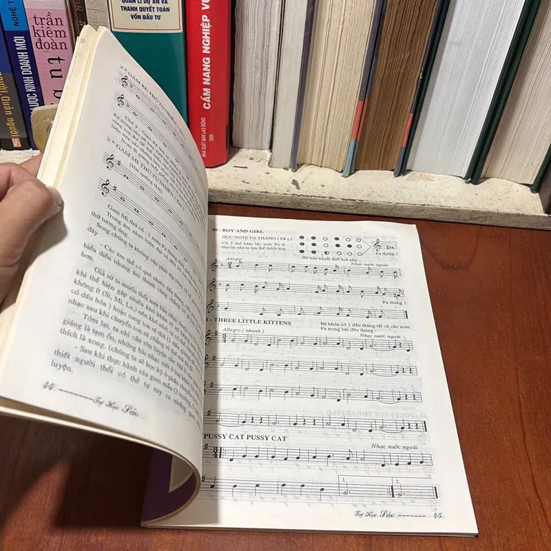 II Nhạc Cụ, Âm Nhạc: Tự Học Sáo _ Độc Tấu Đệm Thở (Tập 1) - Sơn Hồng Vỹ (Vi Sơn) - 2004 727051