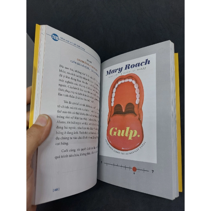 Nhìn mặt bắt hình dong mới 90% 2017 sách in màu Chip Kidd HCM2606 911564