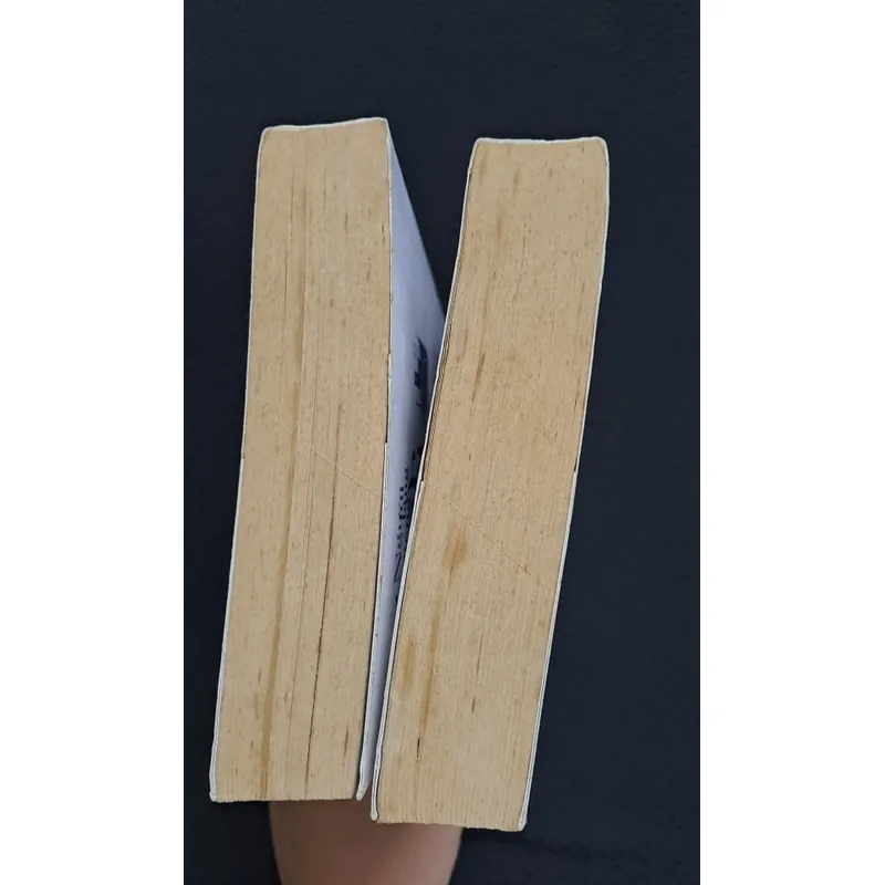 Người láng giềng ánh trăng - Đinh Mặc 595539