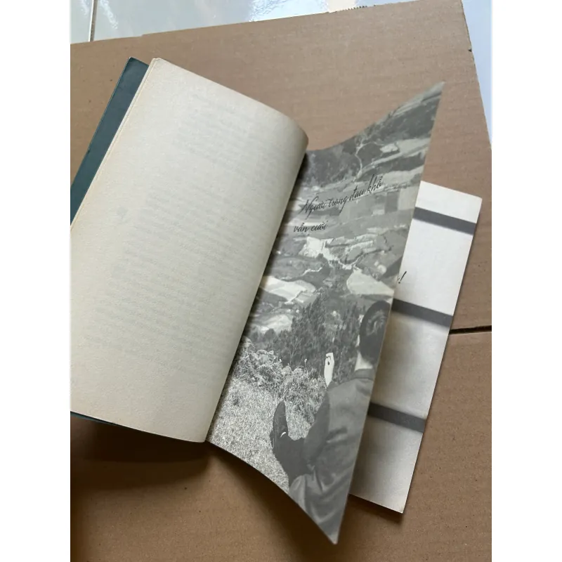 Người trong đau khổ vẫn cười - Hamlet Trương 995429