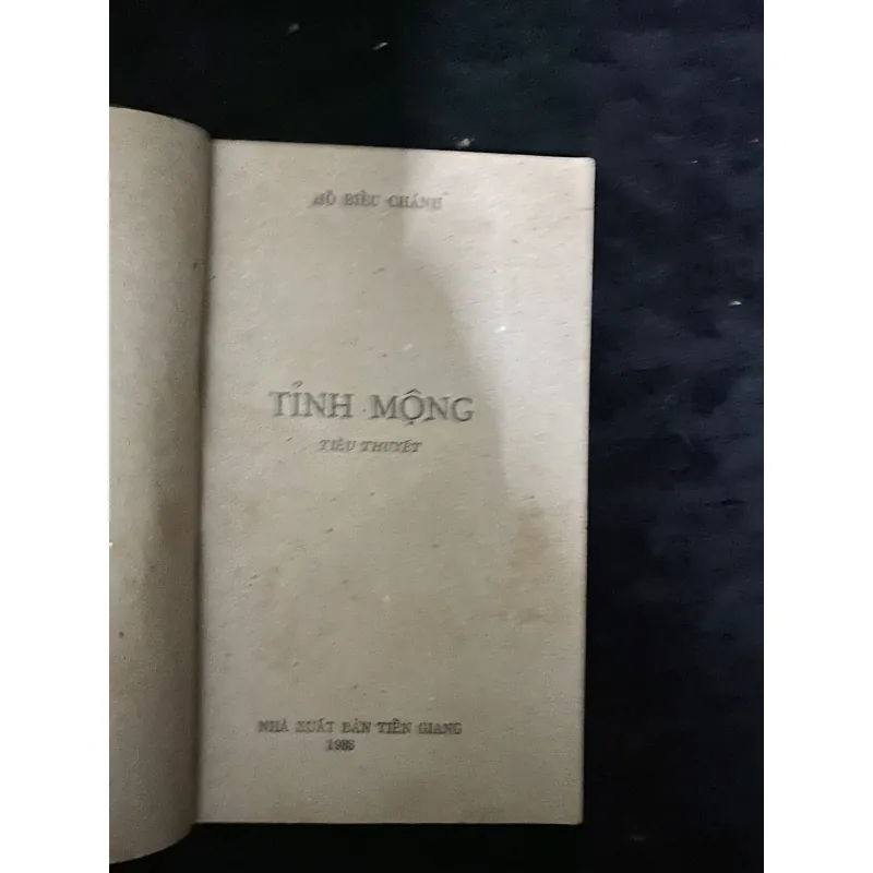 Tình Mộng (tiểu thuyết của Hồ Biểu Chánh) 991803