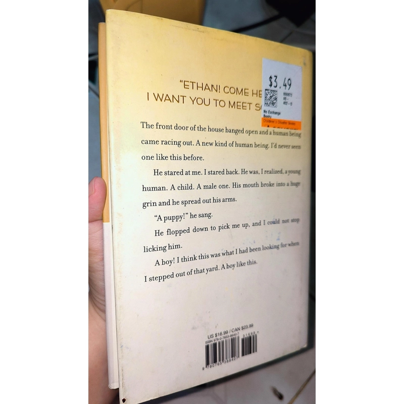 Sách chapters về cún - Bailey's story ( A dog's purpose novel) 470544