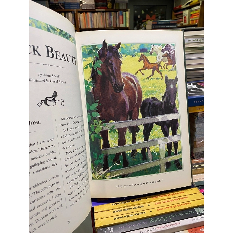 A Treasury of Classic Stories 731891