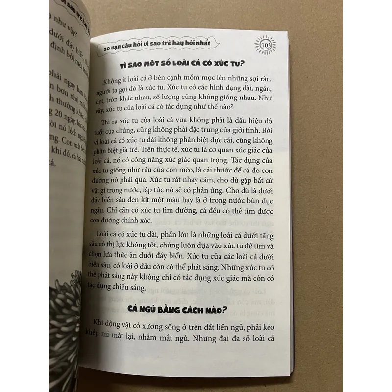 10 vạn câu hỏi vì sao trẻ hay hỏi nhất 675539