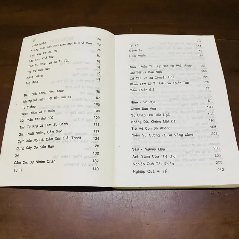 Kinh nghiệm thiền quán phương pháp thiền tập Vipassana 719108