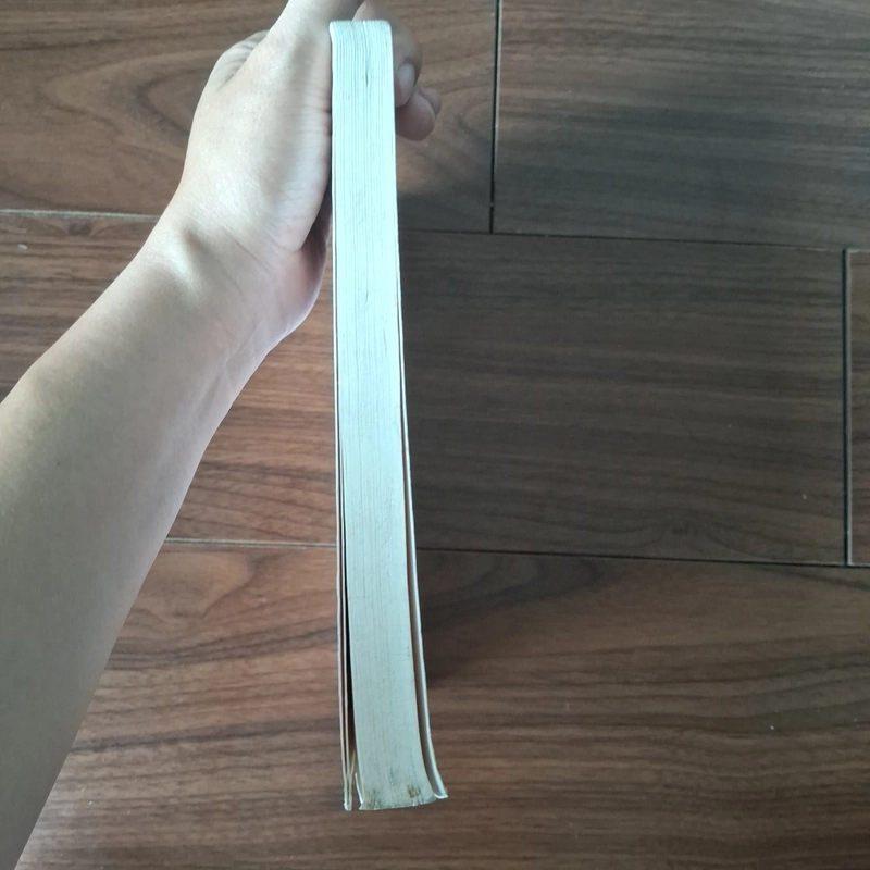 Cô gái năm ấy chúng ta cùng theo đuổi 508610