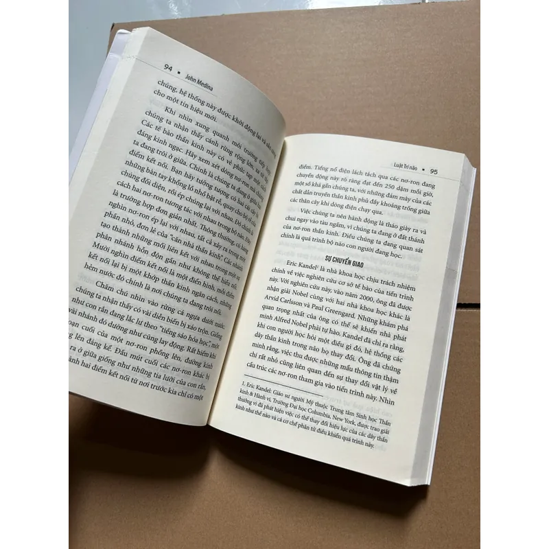 Luật trí não 736216