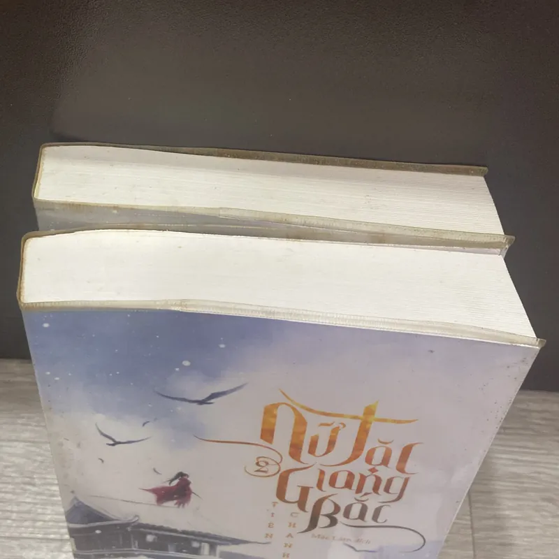 Nữ tặc giang bắc. 537989