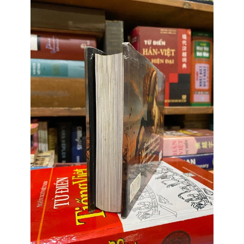 Pferde in Kunst, Fotografie und Literatur - Lorraine Harrison 926651