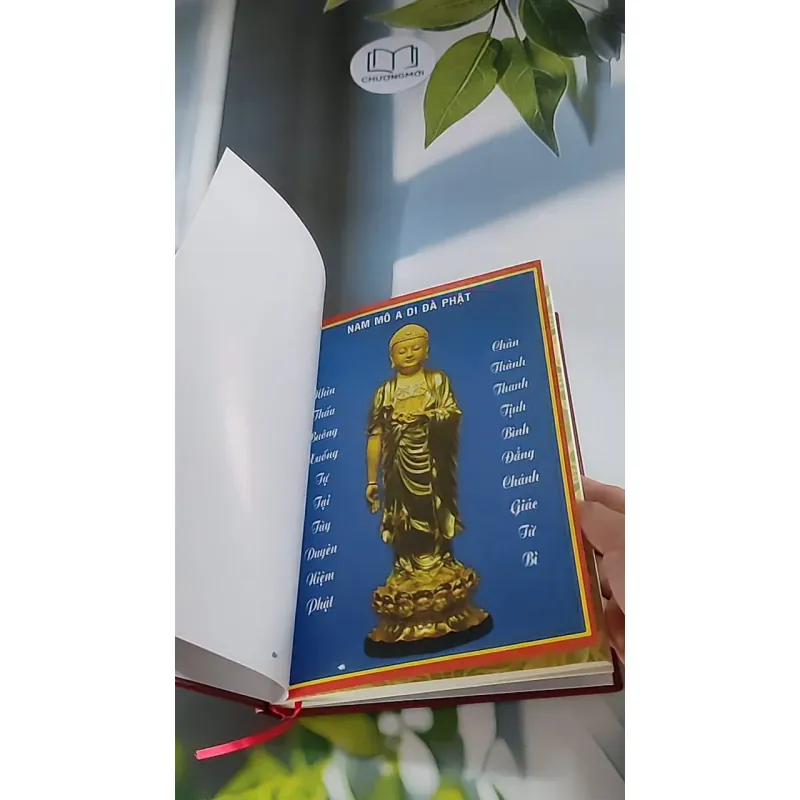Phật thuyết Đại thừa Vô lượng Thọ Trang Nghiêm Thanh Tịnh Bình Đẳng Giác Kinh - Ngài Hạ L 607734