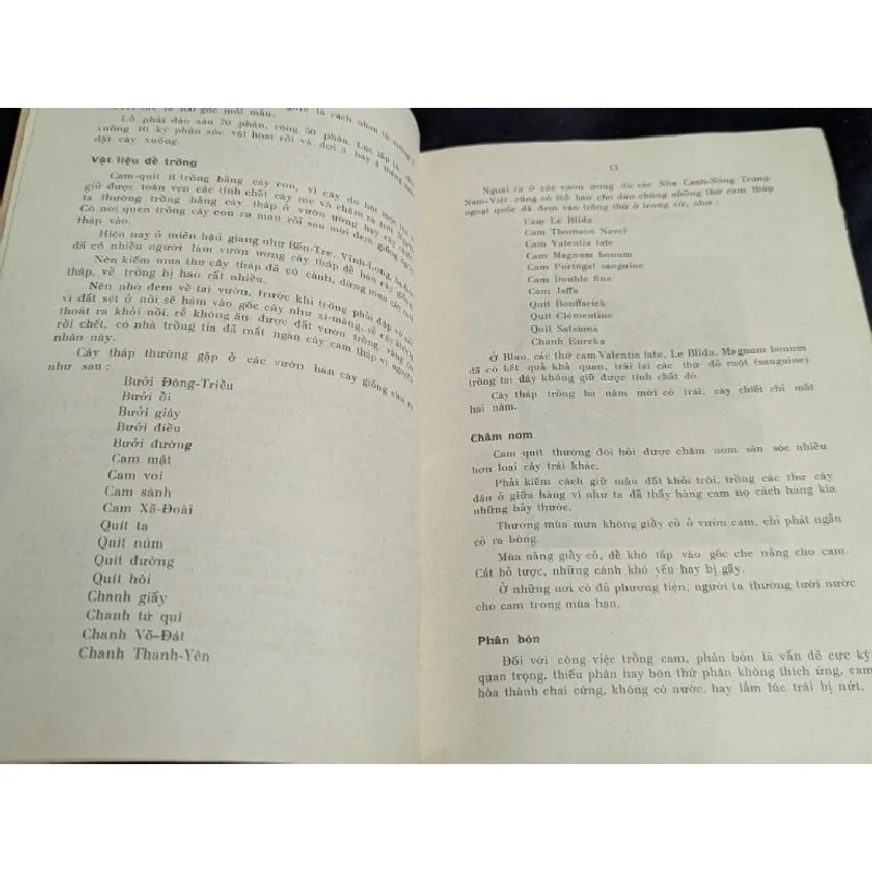 Trồng cây ăn trái ở cao nguyên miền nam - Nguyễn Cao Ban 588841