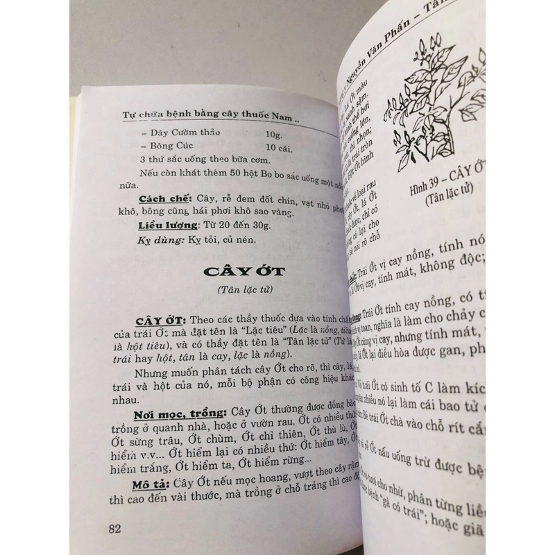 TỰ CHỮA BỆNH BẰNG CÂY THUỐC NAM THÔNG DỤNG DỄ TÌM  455909