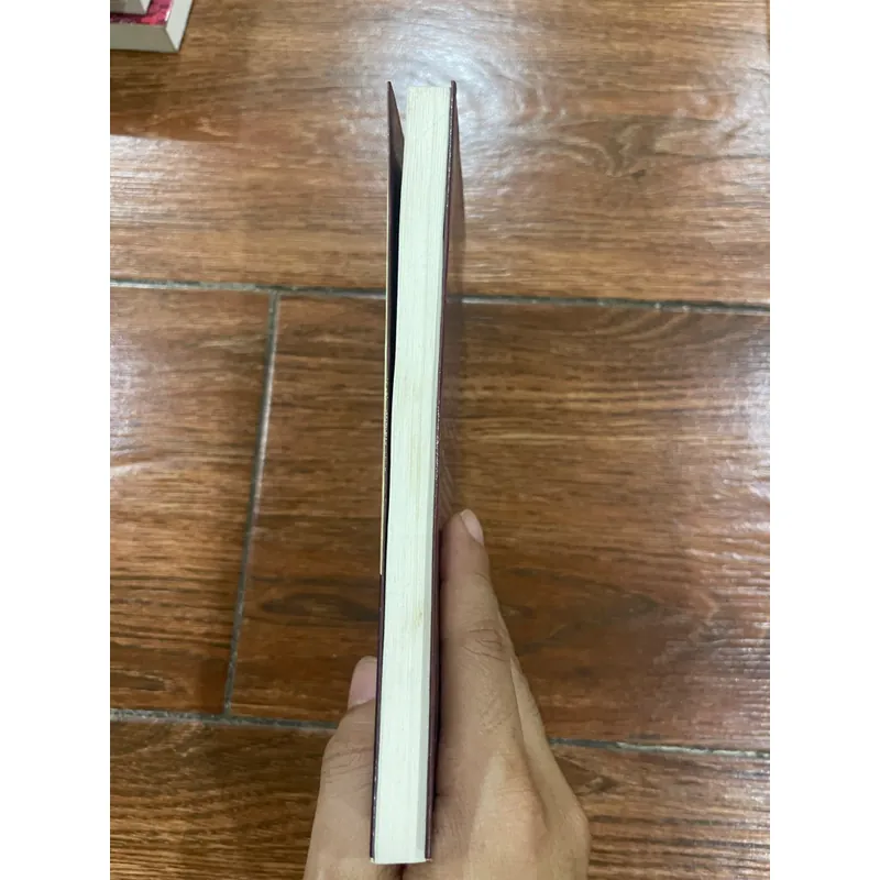 KEM ĐÁ – Yonezawa Honobu (9) 558704