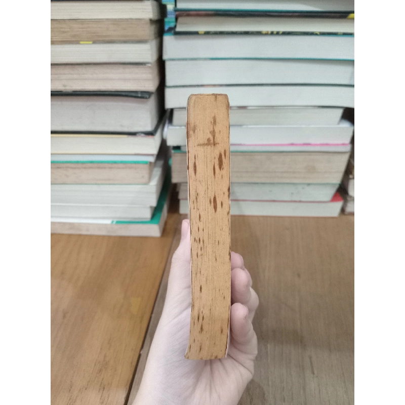 The villa - Sarah Sands 737959