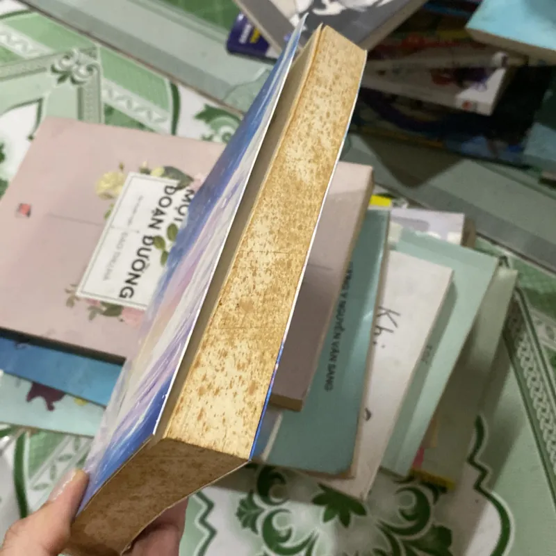 Colorful Etomori 781390