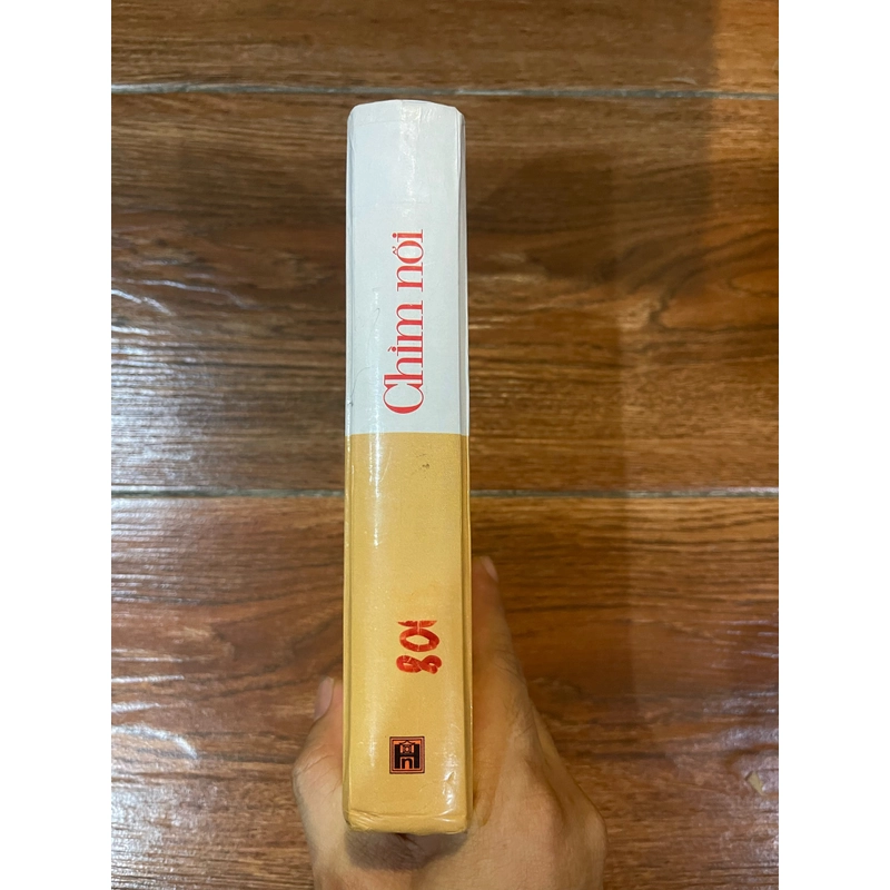 Chìm nổi (k1) 504953