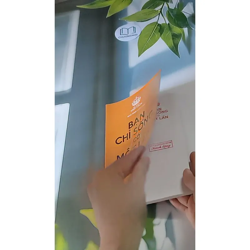 Bạn chỉ sống có một lần - nhà sách Nhã Nam 607738