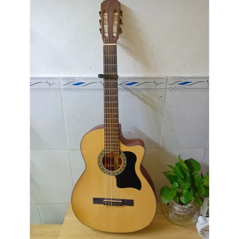 Đàm guitar classic 753780