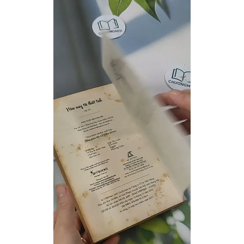 Hôm Nay Tôi Thất Tình - Hạ Vũ 705592