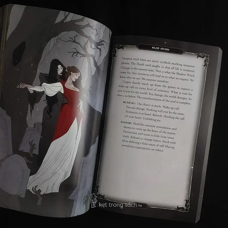 [Sách Cũ Ngoại Văn] Dark Wood Tarot - Sasha Graham 564144