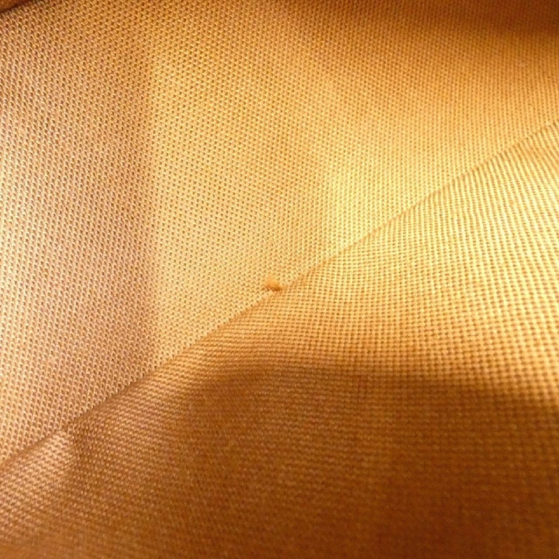 Túi xách vai Louis Vuitton Monogram Trottter M51240 609024