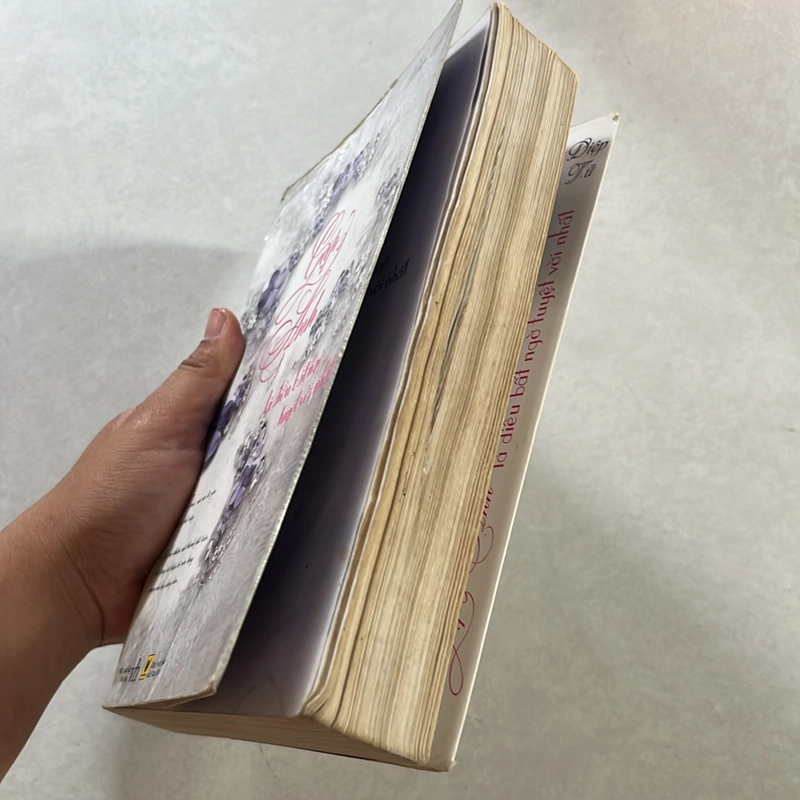 Gặp anh là điều bất ngờ tuyệt vời nhất - Diệp Tử 501479