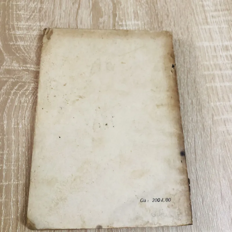 XUNG KÍCH – Nguyễn Đình Thi 928949