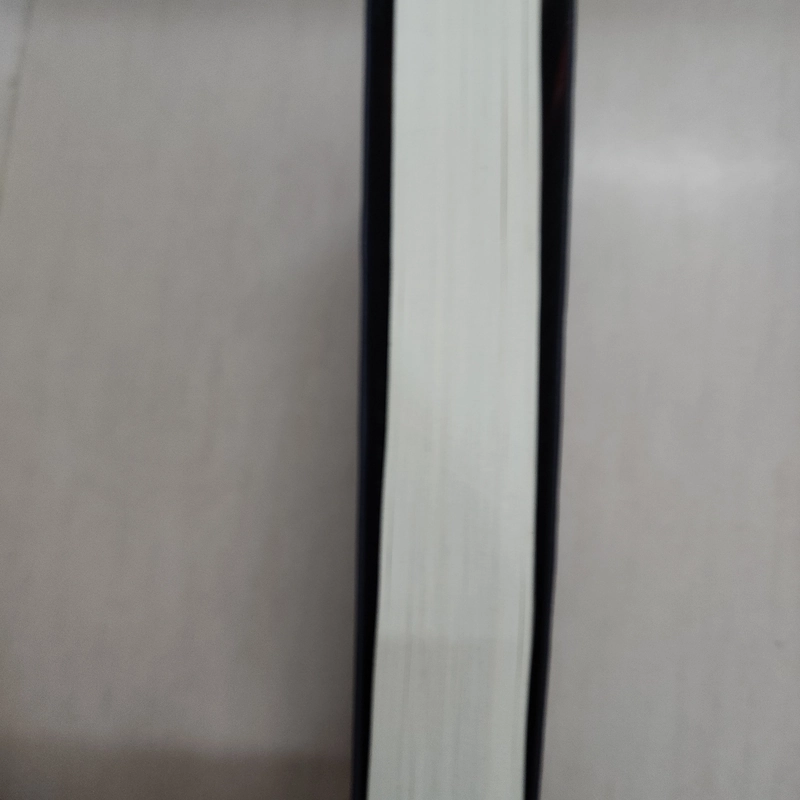 Sách Thay đổi tư duy bứt phá thành công của Jonah Sachs mới 95% 509392