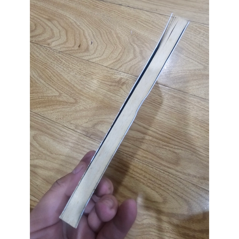 Yêu người ngóng núi - Nguyễn Ngọc Tư 456149