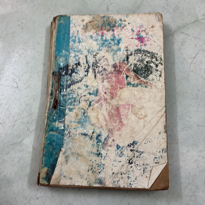 Thánh đường chim 1031028