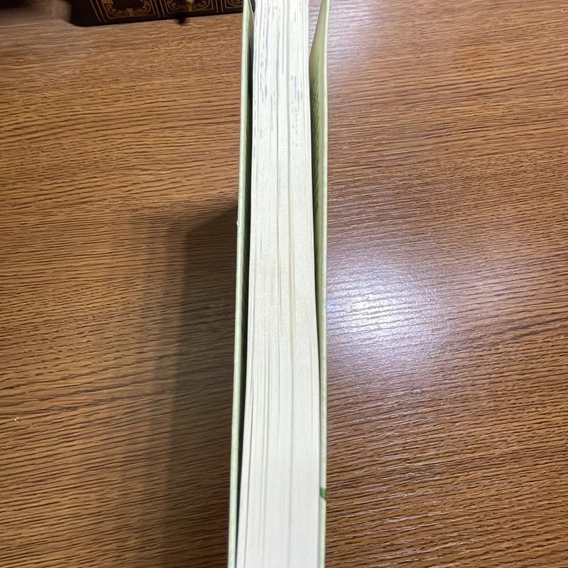Cậu nhóc gặt gió William Kamkwamba Văn học 407777