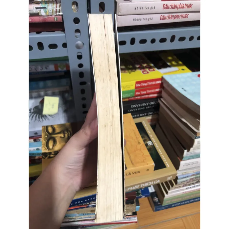 Người tình của tiểu thư Sophia 990571