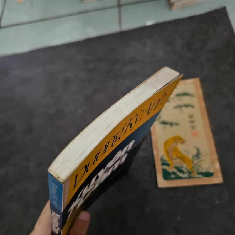 Xuyên cẩm - dương kỳ anh 737031