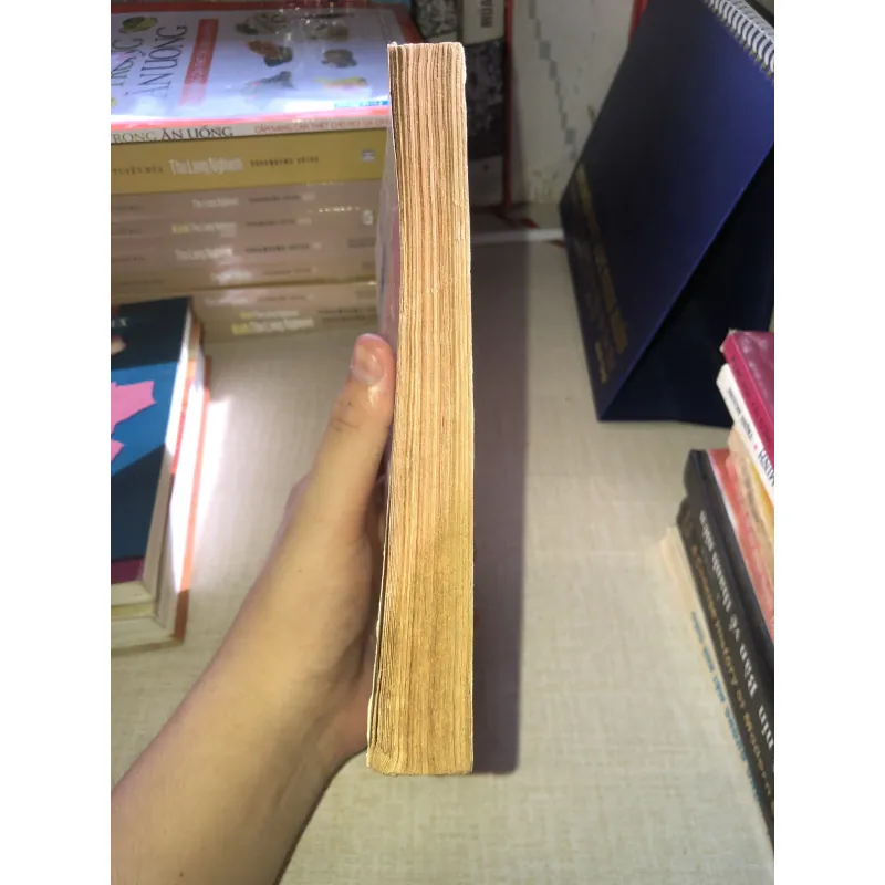 Những danh sĩ miền Nam-Hồ Sĩ Hiệp,Hoài Anh 957234