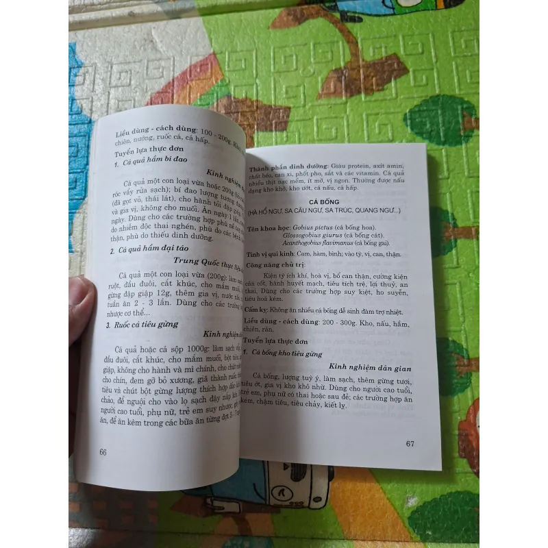 Ẩm thực liệu pháp: Thực đơn bồi bổ sức khỏe 974443