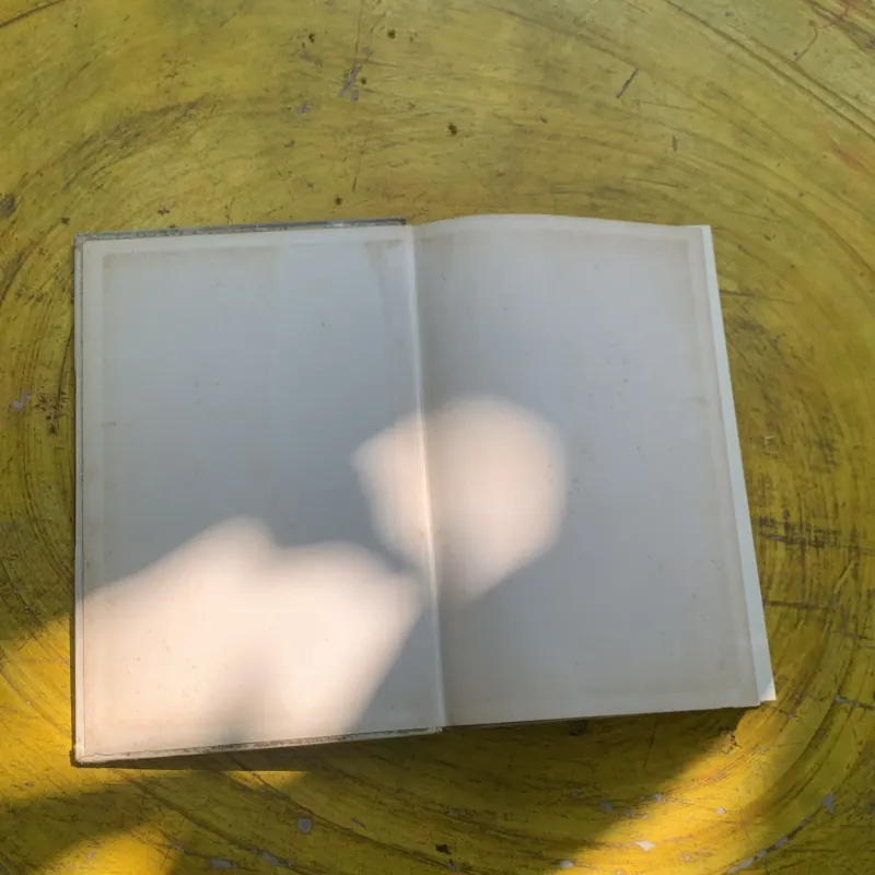 LE JOURNAL REVOLUTION- LOUIS - HENRI FOURNET 763625