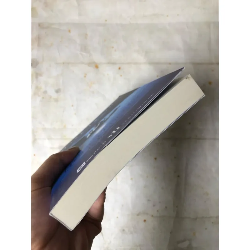 Những Cuộc Phiêu Lưu Của HuckleBerry Finn - Mark Twain 783082