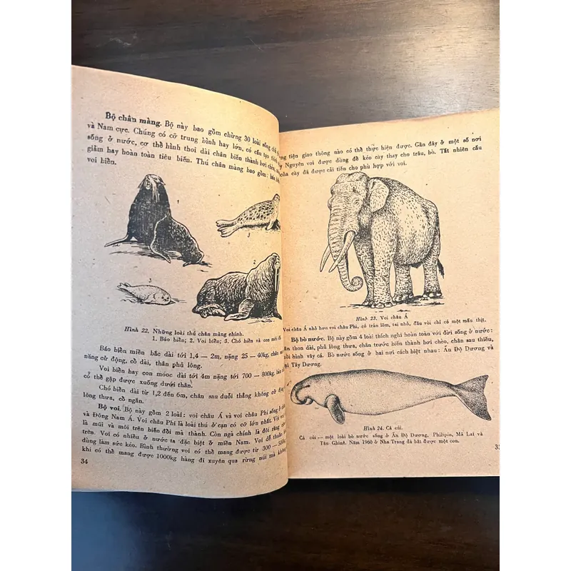 📖 Đời sống các loài thú (xb 1972) 565178