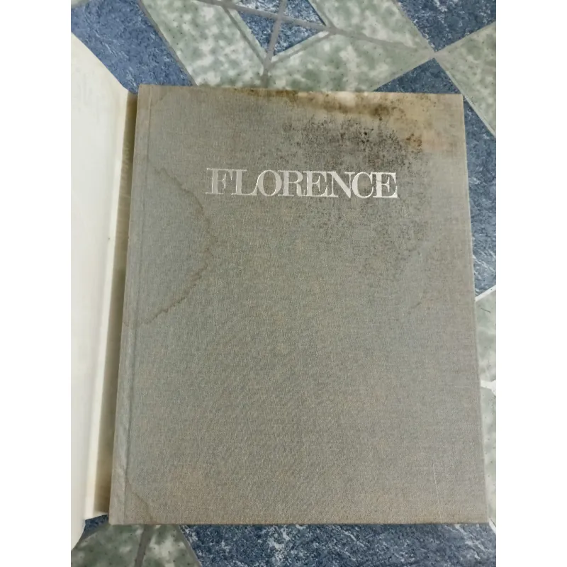 Splendid Florence - Giancarlo Gasponi 608972